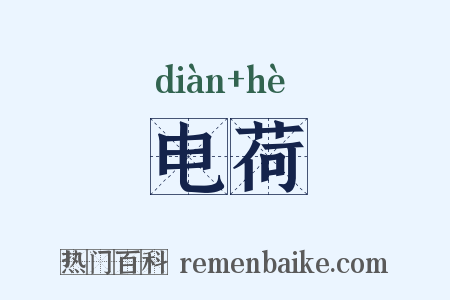 电荷是什么意思的图片